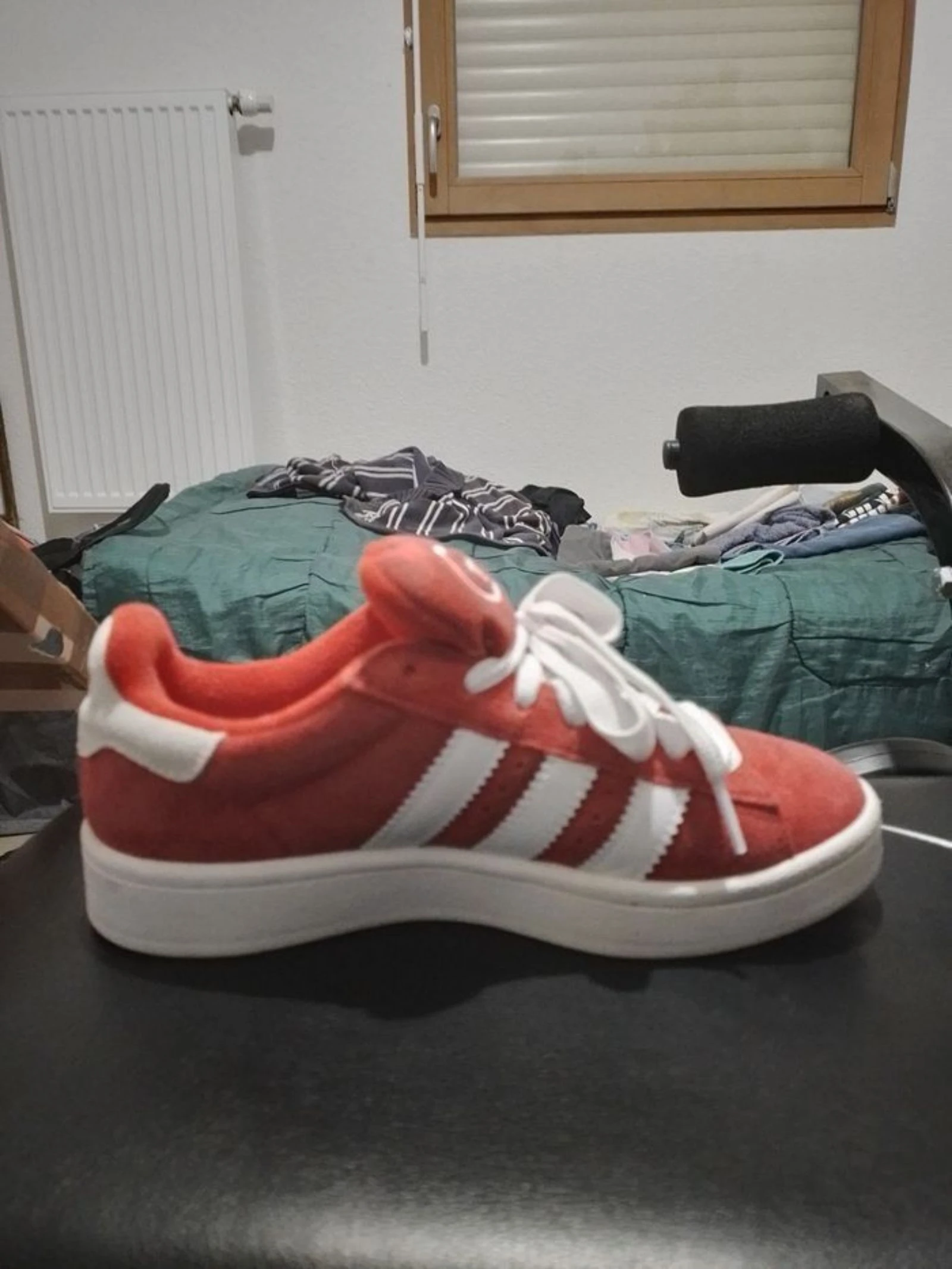 Adidas campus  – photo 2